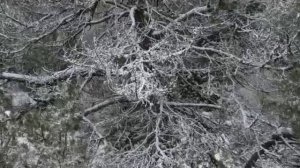 КОМЕДИЯ РОК Сборник клипов - Русский Хонки-Тонк!