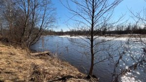 Солнечный день у реки Ветер Спокойствие Природа Для расслабления медитации Весна Март 2026 Россия