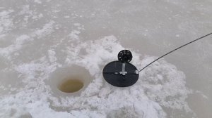 ЖЕРЛИЦА СТОИТ ВЫСТРЕЛ ОЖИДАНИЕ