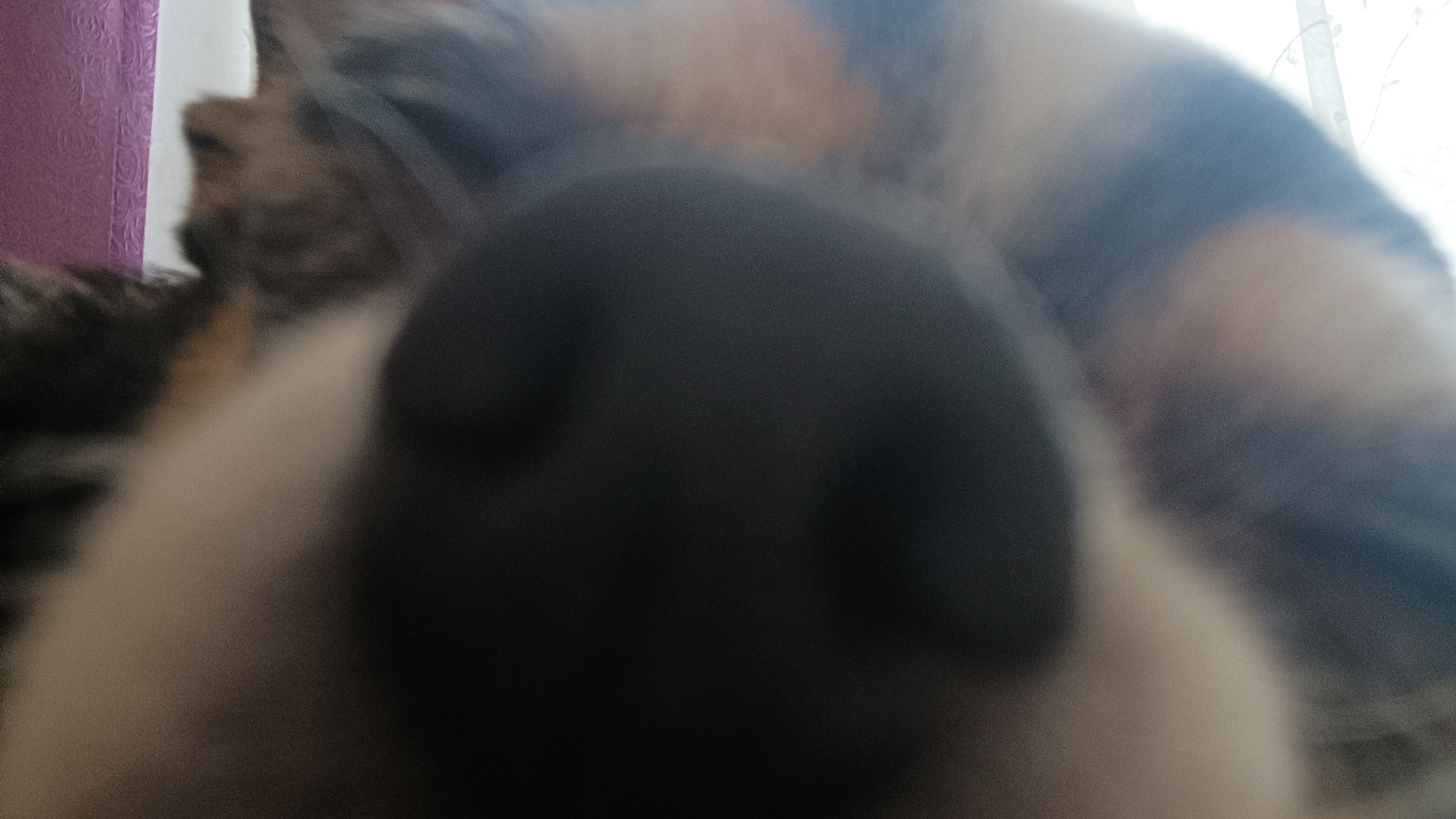 иду после школы