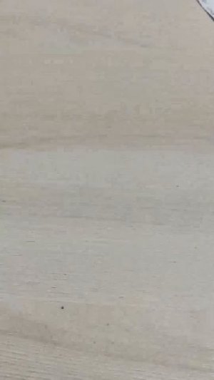 стримчатский