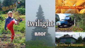 День у свекрови/Привезли уголь/Пробуем ДЕЛИКАТЕС