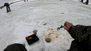 Рыбалка на Сорогу. То дождь то снег, ну и погодка.