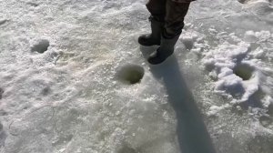 Лесная деревенька 21 марта 2026