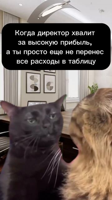 Вести финансы в таблицах опасно #shorts