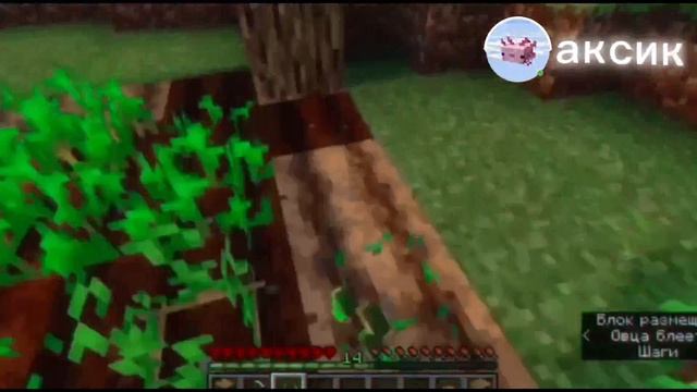 Аксик Аксик эдит ( канал из вк )