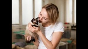 Степашкин джаз