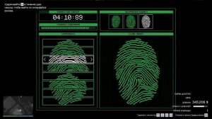 кайо пузико