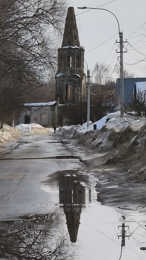 Перезимовали