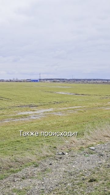 Как бороться с переувлажнением почв #агроном #сельскоехозяйство