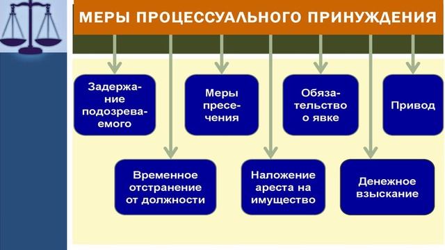 Обществознание. Виды судопроизводства. Савинская О.А.