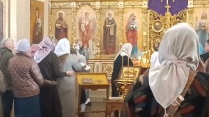 23.03.26. Иду в храм. Маленький дятел. На службе, раздают жаворонков. Устала, но дошла. Манюня.