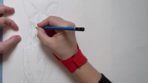 Как рисовать  контур для  акварели  ✏️ Советы и рекомендации для начинающих