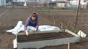 ЖИЗНЬ В СТАНИЦЕ./ РЕШИЛА СВОЮ ПРОБЛЕМУ./ УБРАЛИ СТОЛБЫ./ ПОСЕЯЛА СЕМЕНА.
