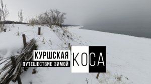 Куршская коса зимой. Танцующий лес и высота Эфа