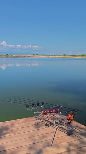 ЧЕМ БОЙЛЫ С РЫБНОЙ МУКОЙ покоряют рыбу?