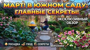 ВЕСНА В ЮЖНОМ САДУ, март! Морозники- СЕКРЕТЫ, УХОД, ПОСАДКА КАМЫШОВЫЙ ЗАБОР! Обзор южного сада !