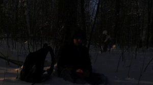 в лесу ЧАСТЬ 33