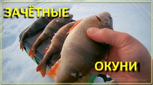 В поисках новых мест за окунем