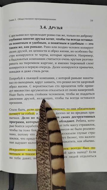 Если друзья деградируют. Книга Дневник Реалиста