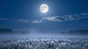 МИРЫ ЖЕЛАНИЙ