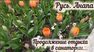 Санаторий Русь. Анапа. Продолжаю познавать Анапу. Ужин в санатории