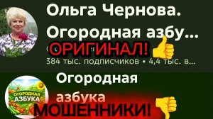 Это свинство! Это не Ольга Чернова! Это мошенники!