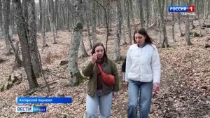 В горах Южного берега Крыма массово цветут примулы