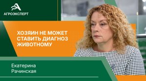 Безрецептурный отпуск ветпрепаратов поощрял самолечение — эксперт