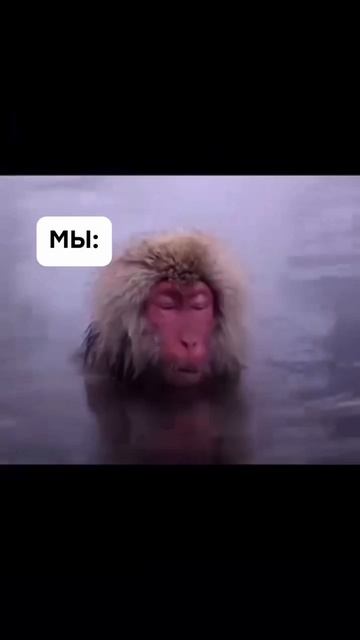 Copy_F3B80C09-755B-4C14-BA7C-C1CF6540DBB8