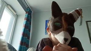 как проходит мой день