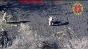 В Рай-Александровке 🪖