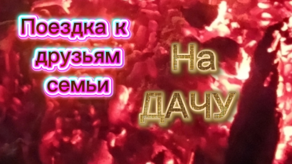Поездка к друзьям семьи на дачу🏠