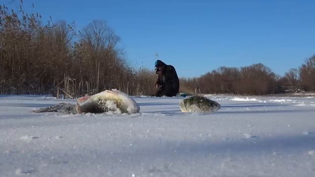 ПЕРВЫЙ ЛЁД НА БОЛЬШОЙ РЕКЕ. ЗИМНЯЯ РЫБАЛКА. ПОИСК РЫБНОГО МЕСТА.