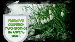 РЫБЫ, РАК, СКОРПИОН ТАРО-ПРОГНОЗ НА АПРЕЛЬ 2026 ГОДА