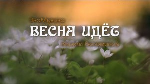 Красивая музыка весны и пробуждения природы на гуслях