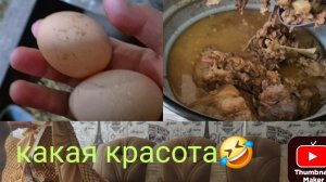 ТЫ ПОСМОТРИ какая КРАСОТА/ отварила кости/ жизнь в деревне