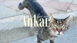 Вся правда об Анкаре: транспорт, цены, еда и погода!