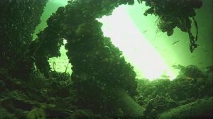 1000012085.mp4Волга гл.2м.23.03.2026г.