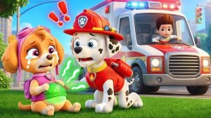 Беременная Скай больна? Что случилось? | Ролевая игра по мотивам «Щенячьего патруля»