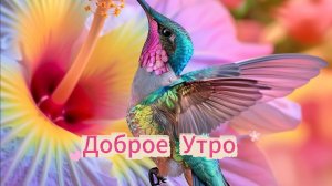 Доброе утро понедельника! Красивые открытки бесплатно ☕