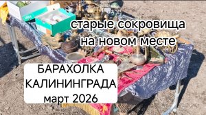 БОЛЬШОЙ обзор БАРАХОЛКИ КАЛИНИНГРАДА! март 2026 .