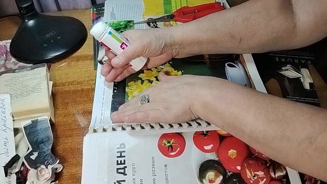 Скрапбукинг из старых журналов. Подготовка к севу овощей.