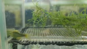 Новый день