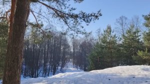 Современное неРабство