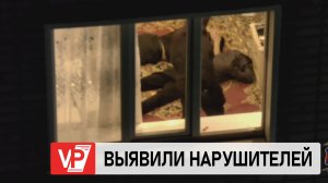 В ВОЛГОГРАДСКОЙ ОБЛАСТИ ПРОШЕЛ РЕЙД ПО ВЫЯВЛЕНИЮ ВОЗМОЖНЫХ ПРАВОНАРУШИТЕЛЕЙ