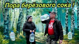 Сбор, хранение берёзового сока. Нашли серебро Николая первого. Деревенские будни.