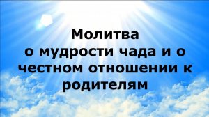 МОЛИТВА О МУДРОСТИ ЧАДА И О ЧЕСТНОМ ОТНОШЕНИИ К РОДИТЕЛЯМ #наянабелосвет