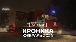 ХРОНИКА ПСЦ за февраль 2026