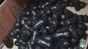 У жителя Костромской области сотрудники угрозыска нашли более 30 килограммов наркотиков